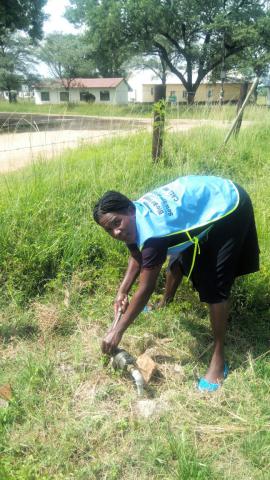 Hazvinei WASH Wizard and widow